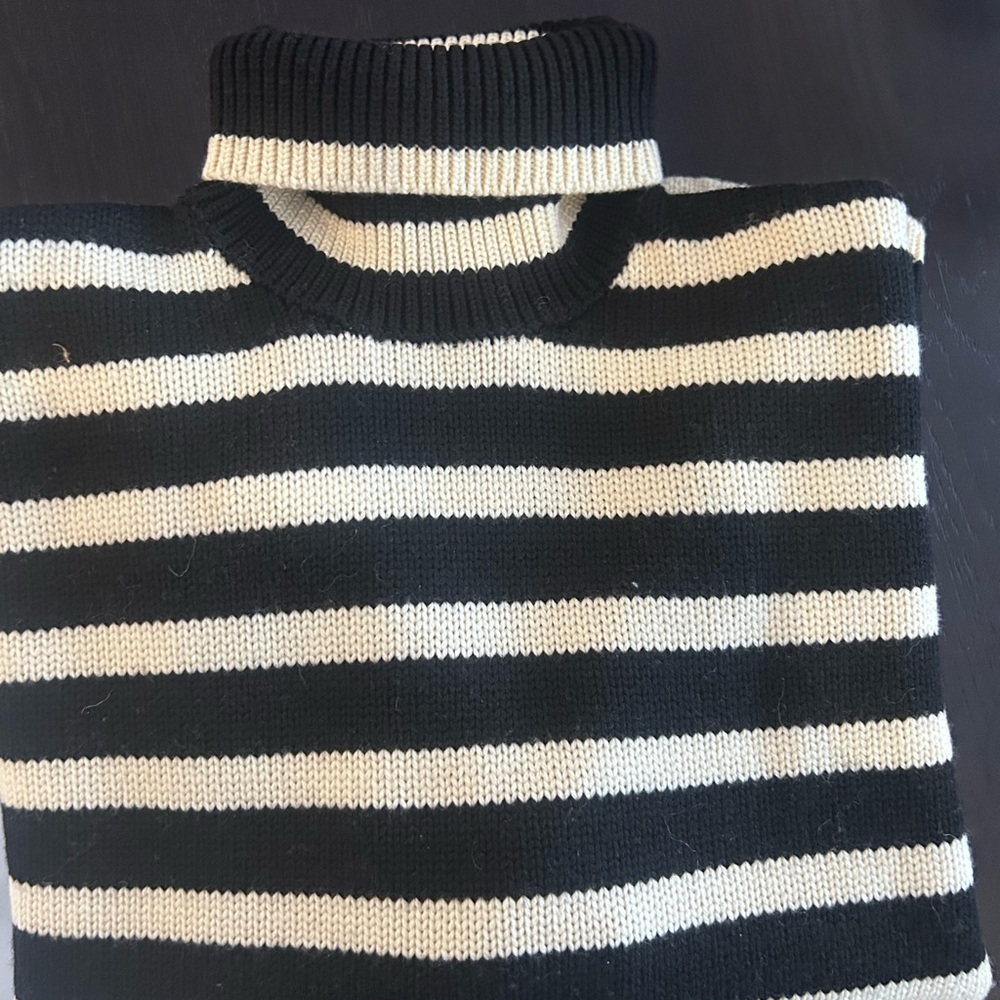 Toteme Black and White Striped Turtleneck Sweater